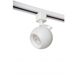 TRACK LUCIDE - FAVORI 09953/01/31